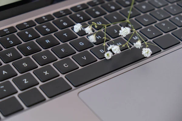 Home office workspace modern keyboard and red rose flower. Feminine desktop close up, laptop computer keyboard. Delicate rose flower