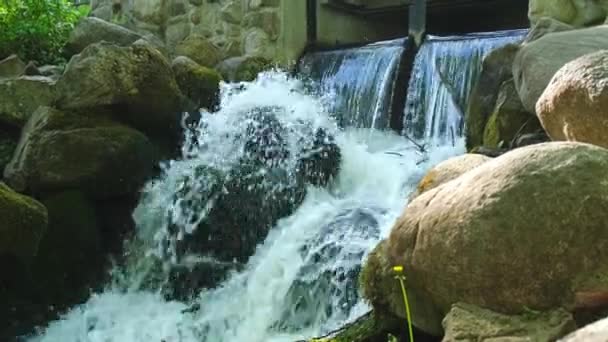 Olivia Halk Parkında Şelale Şelalesi Gdansk Polonya Kayalıklardan Ağaçlardan Nehir — Stok video