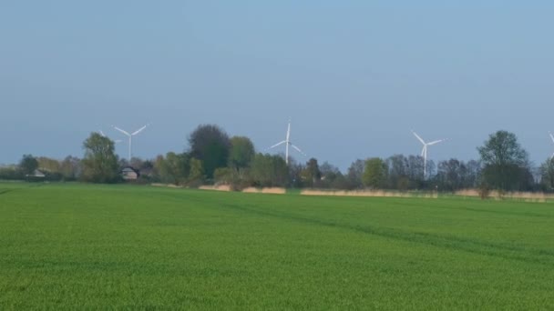 Large Wind Turbines Blades Field Sunset Blue Sky Wind Alternative — Stock videók