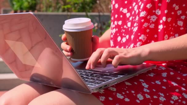 Young Woman Working Laptop Wooden Bench Park Drinking Coffee Paper — Stock Video