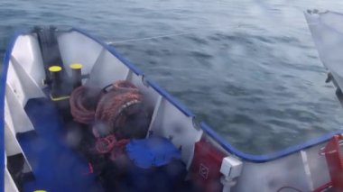 Geminin uyanması. Tekneden geniş bir iz var. Okyanus suyu. Koyu mavi. Büyük gemiden izler. Lüks yelkenli yattan günbatımı ışınları. Denizde gemi gezisi. Sürat teknesinin arkasından gelen dalgalar
