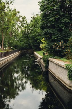 Güzel bir bahar nehri ve orman. Sudaki ağaçların doğa yansıması. Soyut doğal arkaplan. Birçok yeşil ağacın bulanık siluetleri, yapraklar nehrin huzurlu yüzeyi, göl
