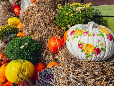 Beautiful painted Pumpkins in flowers rustic hay decoration outdoors. Stylish autumn decor of exterior building. Rural decor on haystack in street. Autumn fall harvest Thanksgiving and Halloween