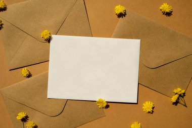 Güzel sarı papatya çiçekleri posta sarı zarfları üzerinde bej arka planda, boş kâğıt fotokopi alanı yazı, bahar zamanı, tatil için tebrik kartı. Çiçek teslimatı