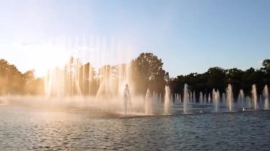 Wroclaw Multimedia Fountain gösterisi Stulecia Centennial Hall 'un önünde. Spor ve eğlence salonu. Seyahat güzergahı turistik eğlence 