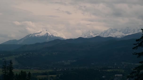 冬季多雪的山峰 波兰Zakopane的雪山 雄伟的山峰带来了黄金时段的冬季仙境 Idyllic北极景观 旅行背景概念 — 图库视频影像