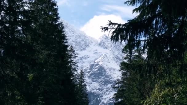 Vintersnöiga Bergstoppar Snötäckta Berg Zakopane Polen Majestätiska Mountain Peaks Golden — Stockvideo