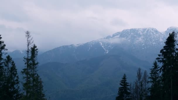 Winter Snowy Mountain Peaks Snow Covered Mountains Zakopane Poland Majestic — Stock Video