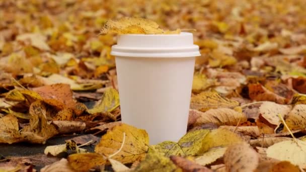 生态零浪费白纸杯复制空间模型 秋天的叶子和一杯茶咖啡紧邻秋天的自然 与自然相结合的农舍 — 图库视频影像