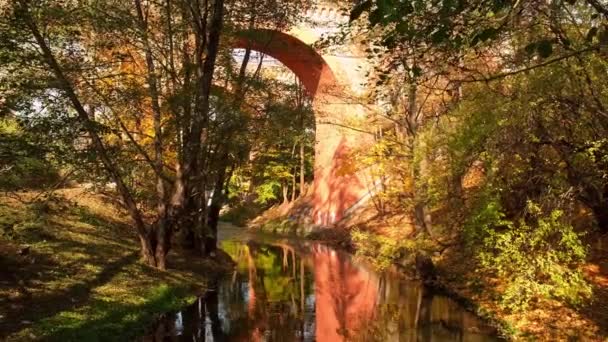 紅葉は水面の橋の下に反射して浮かび上がる 湖の表面に落ちた秋の葉 自然の風景秋のオレンジの葉は暗い湖の水位で航海しています — ストック動画
