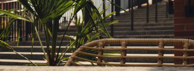 Odaksız, soyut, bulanık restoran geçmişi. Gün içinde palmiye ağaçları ya da kafe sandalyeleri olan bulanık bir kafe. Yiyecek ve içecek konsepti.