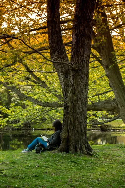Приваблива Молода Жінка Читає Книгу Сидячи Траві Зеленому Громадському Парку — стокове фото