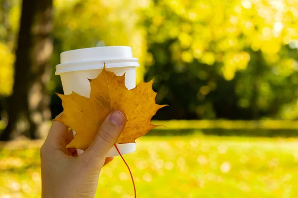 stock image Woman holding Eco zero waste white paper cup copy space mockup Fall autumnal maple yellow leaf next to autumn nature. Cup of tea coffee to go. Hot take away drink cozy mood rest holiday concept