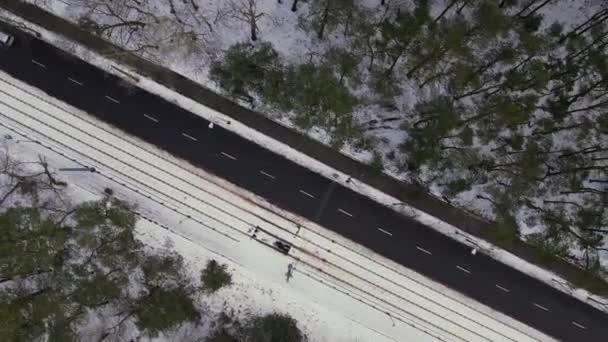 Car Driving Aerial View Road Winter Time Road Surrounded Forest — Videoclip de stoc