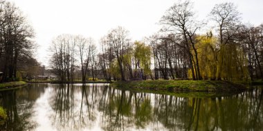 Güzel bir bahar gölü ve orman. Baharda doğa. Sudaki ağaçların yansıması. Soyut doğal arkaplan. Birçok yeşil bahar ağacının bulanık siluetleri, barışçıl yüzeyi yansıtır