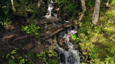 Waterfall in forest between green trees on the way to Morskie oko in Poland. Nature river waterfall forest. Forest, flowing river, fallen leaves, mossy rocks in Tatras mountain stream National Park 4k