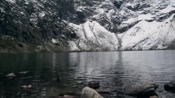 Черный Став Рысами Горный Озерный Пруд Национальный Парк Татры Польша — стоковое видео