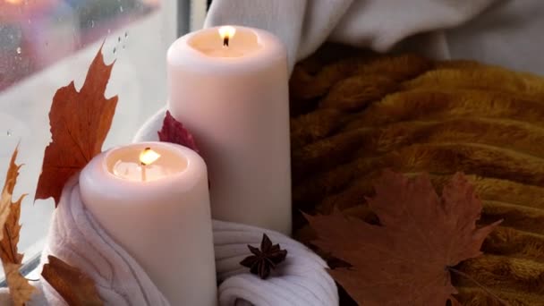 우리의 바침으로써 가을을 축하하는 컨셉트 집에서 가을을 기념하는 컨셉트 — 비디오