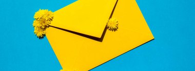 Güzel sarı papatya çiçekleri mavi arka planda posta sarı zarfı üzerinde, boş kağıt fotokopi alanı yazı, bahar zamanı, tatil için tebrik kartı. Çiçek teslimatı. Hassas