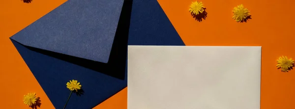 Linda Pequena Amarelo Margaridas Camomila Flores Envelope Azul Postal Fundo — Fotografia de Stock