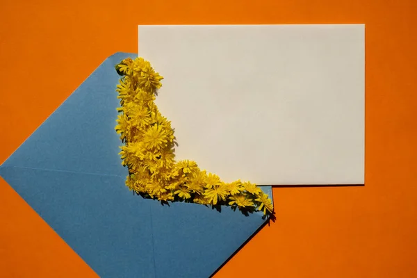 Linda Pequena Amarelo Margaridas Camomila Flores Envelope Azul Postal Fundo — Fotografia de Stock