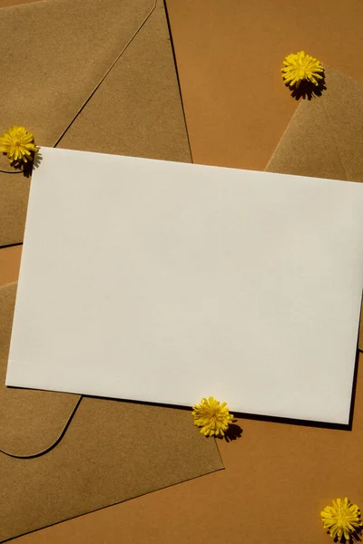 Güzel Sarı Papatya Çiçekleri Posta Sarı Zarfları Üzerinde Bej Arka — Stok fotoğraf