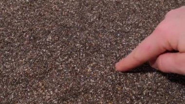Kadın eli çim tohumlarının arka planına kalp çizer. Omega 3 yağ asitleri bakımından zengin sağlıklı süper yiyecekler. Kuru, sağlıklı, doğal bileşen. Vejetaryen yiyeceklerin en sevdiği beslenme ürünleri