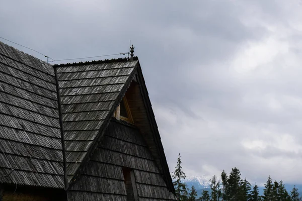 Stary Drewniany Dom Górach Śnieżnych Zielone Lasy Parku Narodowym Zakopane — Zdjęcie stockowe