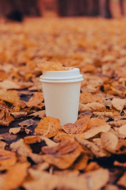 Eko-Sıfır, beyaz kağıt bardakların fotokopisini çek. Sonbahar doğasının yanına gitmek için sonbahar yaprakları ve bir fincan çay. Doğa ile birleştir Cottagecore
