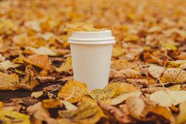 Eko-Sıfır, beyaz kağıt bardakların fotokopisini çek. Sonbahar doğasının yanına gitmek için sonbahar yaprakları ve bir fincan çay. Doğa ile birleştir Cottagecore