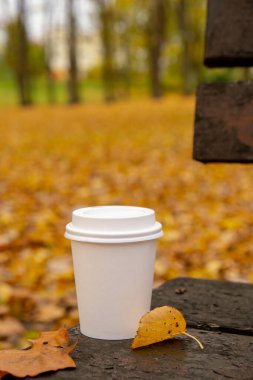 Eko-Sıfır, parktaki ahşap bankta beyaz kağıt bardak fotokopisini çekiyor. Sonbahar doğasının yanına gitmek için sonbahar yaprakları ve bir fincan çay. Doğa ile birleştir Cottagecore
