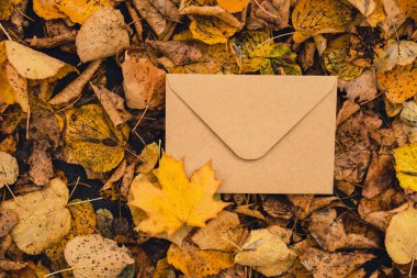 Boş toprak tonları, rengarenk sonbahar yapraklarının etrafını kaplıyor. Şablon kartı. Altın ağaç yaprakları. Sonbahar ormanında sarı yapraklı güzel bir ağaç. Yol sonbahar yapraklarıyla dolu.