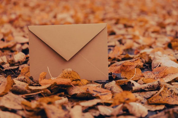 Tons Terra Vazios Envelope Zombar Torno Folhas Outono Caindo Coloridas — Fotografia de Stock