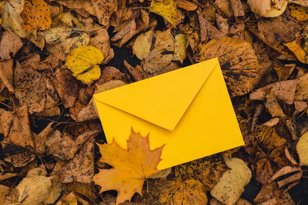 Envelope Amarelo Vazio Zombar Torno Folhas Outono Caindo Coloridas Cartão — Fotografia de Stock