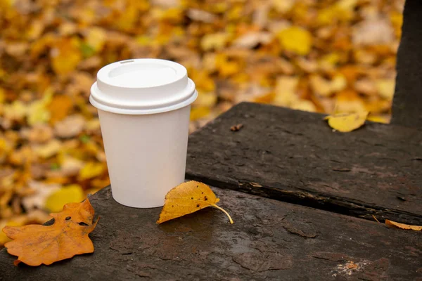 stock image Eco zero waste white paper cup copy space mockup in wooden bench in park. Fall leaves and cup of tea coffee to go next to autumn nature. Unite with nature cottagecore