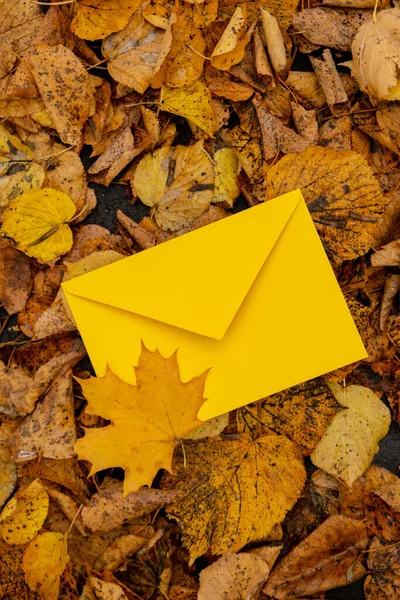 Envelope Amarelo Vazio Zombar Torno Folhas Outono Caindo Coloridas Cartão — Fotografia de Stock