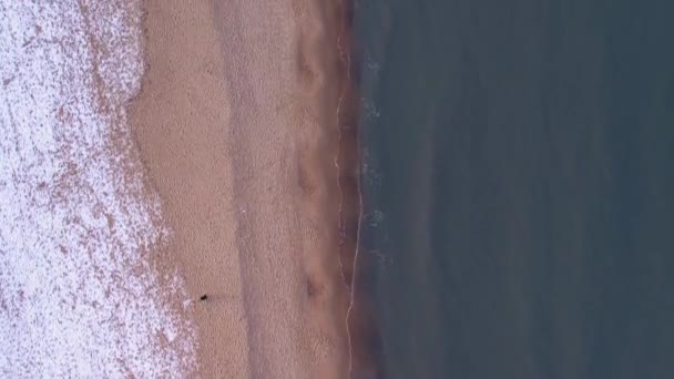 Зима Холодном Балтийском Море Снежный Пляж Гданьске Вид Воздуха Заснеженный — стоковое видео