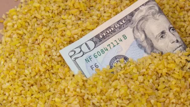在荞麦粥中放大美元钞票纸钞钞票 粮食作物市场的危机 荞麦食品和日用品价格或产量的上涨 — 图库视频影像