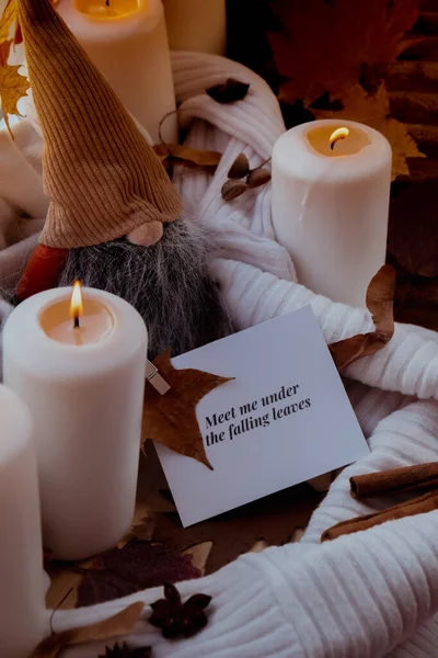Meet Falling Leaves Text Greeting Card Concept Celebrating Thanksgiving Autumn — Fotografia de Stock
