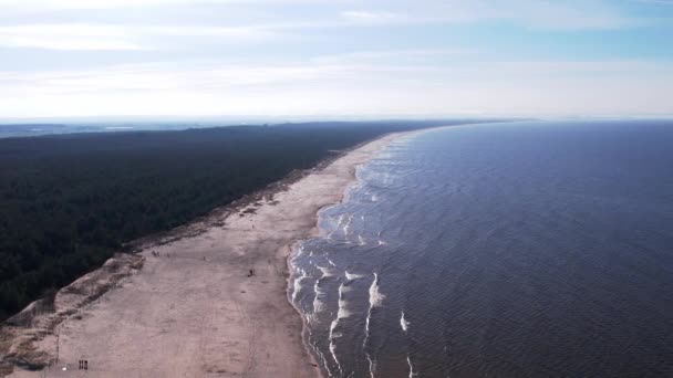 Лісовий Ландшафт Aerial Вид Безпілотного Ліса Піщаним Пляжем Балтійського Моря — стокове відео