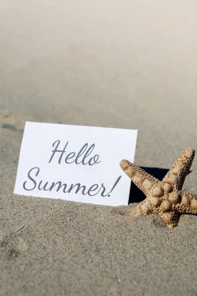 Hello Summer Text Paper Greeting Card Background Starfish Seashell Summer — 스톡 사진