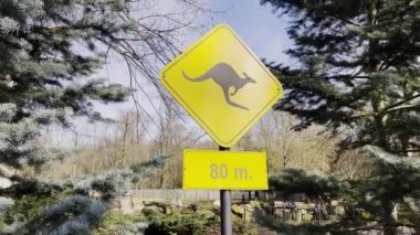 80 metre çölde kanguru geçidi tabelası. Kanguru trafik uyarı sarı işareti. Avustralya 'daki Kangurulara dikkat edin. 