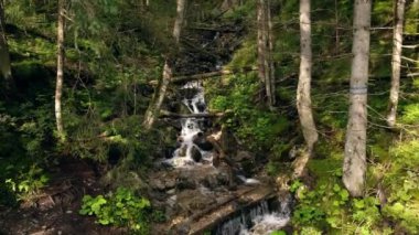 Waterfall in forest between green trees on the way to Morskie oko in Poland. Nature river waterfall forest. Forest, flowing river, fallen leaves, mossy rocks in Tatras mountain stream National Park 4k