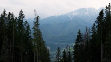 Winter snowy mountain peaks. Snow-covered mountains in Zakopane, Poland. Majestic Mountain Peaks Golden Hour Winter Wonderland. Idyllic arctic landscape. Adventure, travel background concept. 