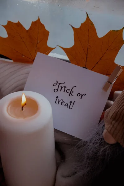 Trick Treat Szöveg Üdvözlő Kártya Koncepció Ünnepeljük Halloween Őszi Ünnepek — Stock Fotó