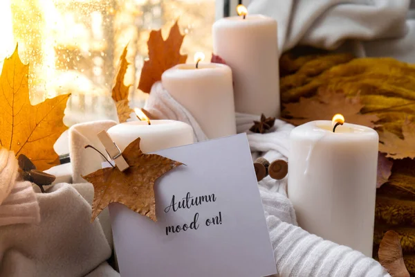 Autumn Mood Text Greeting Card Concept Celebrating Autumn Holidays Cozy — Stock Photo, Image