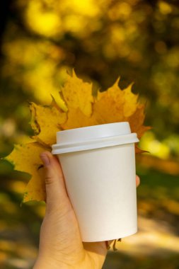 Woman holding Eco zero waste white paper cup copy space mockup Fall autumnal maple yellow leaf next to autumn nature. Cup of tea coffee to go. Hot take away drink cozy mood rest holiday concept clipart