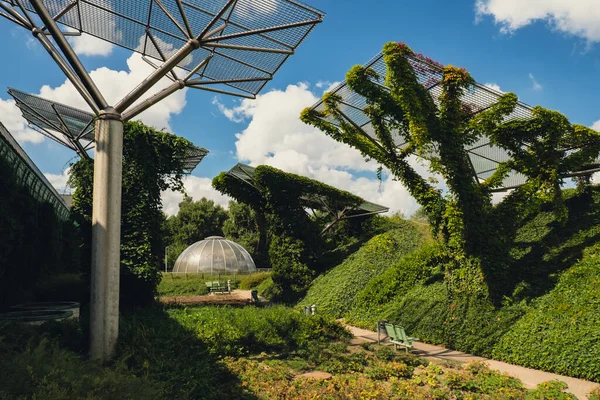 Botanická Zahrada Střeše Varšavské Univerzity Knihovna Moderní Architektury Zeleně Udržitelná — Stock fotografie