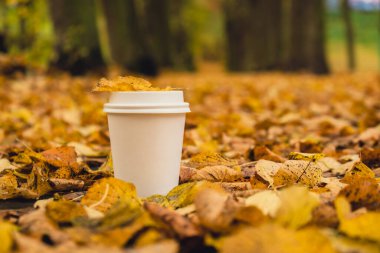Eko-Sıfır, beyaz kağıt bardakların fotokopisini çek. Sonbahar doğasının yanına gitmek için sonbahar yaprakları ve bir fincan çay. Doğa ile birleştir Cottagecore