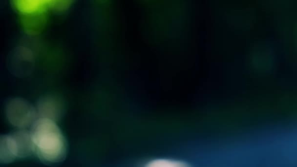 Красивий Зелений Яскравий Натуральний Відео Боке Абстрактний Фон Літня Концепція — стокове відео